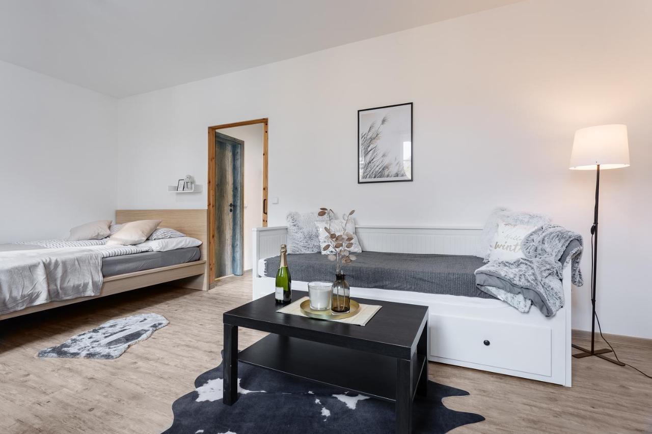 Vlevo Dole Koko Apartment Rokytnice nad Jizerou Eksteriør bilde